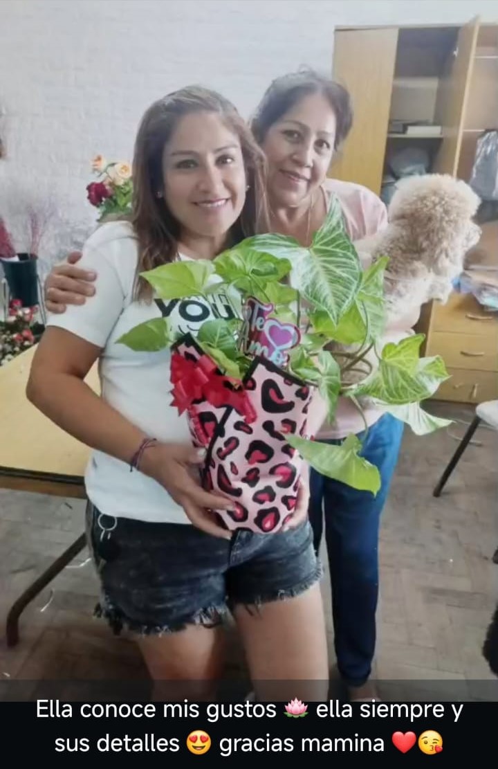Cliente 4