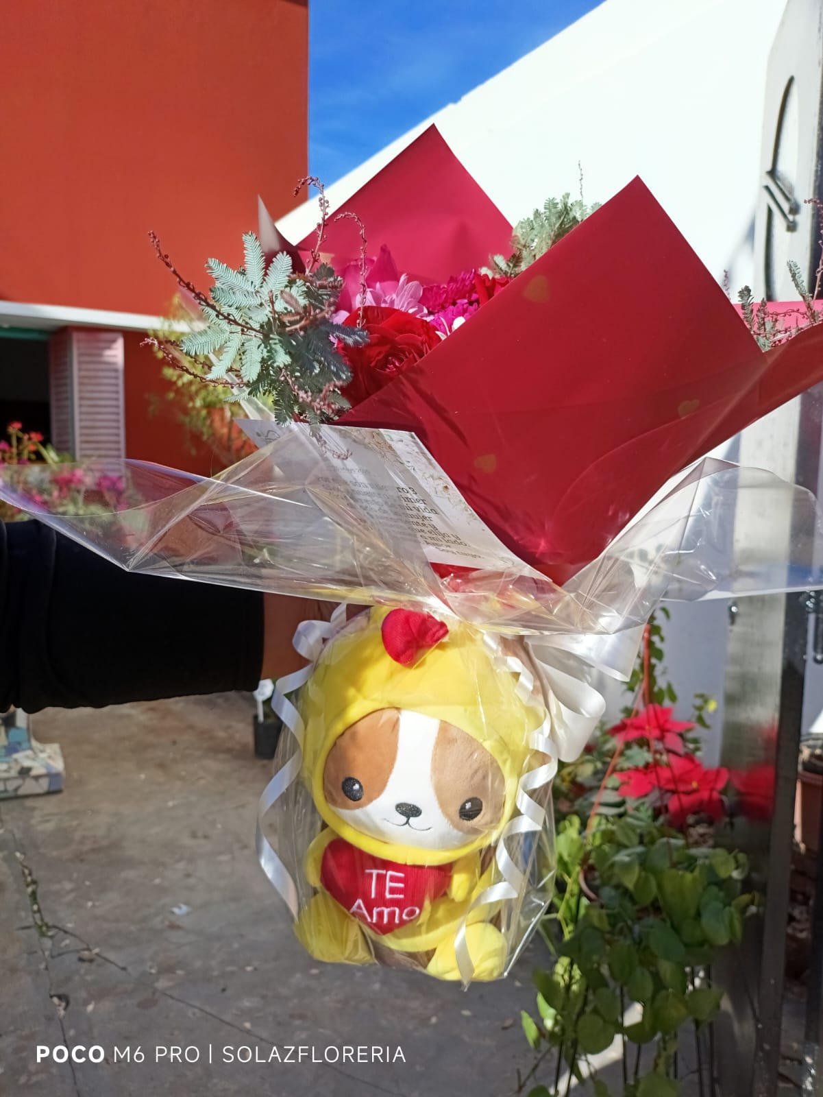 Regalo 1