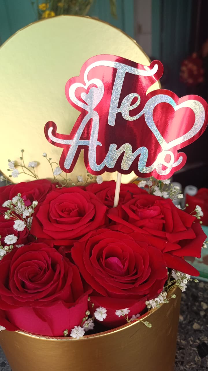 Regalo 7
